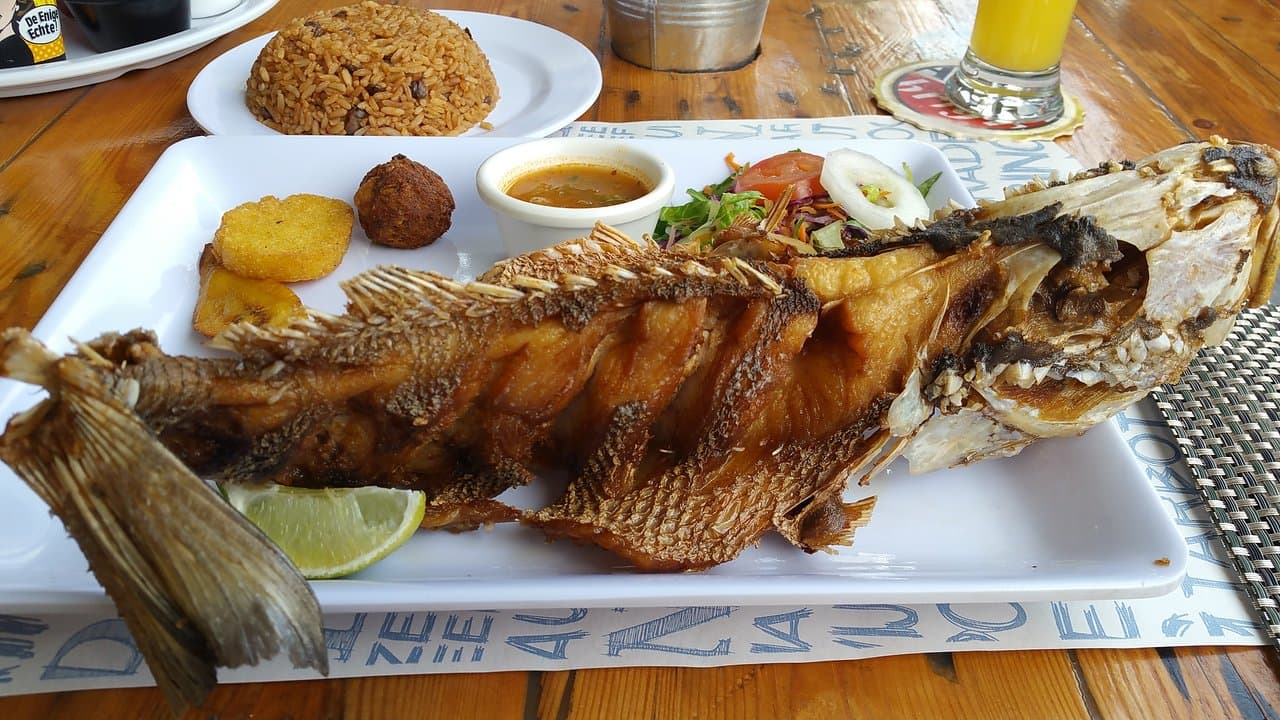 Saltwater Rif Terrace