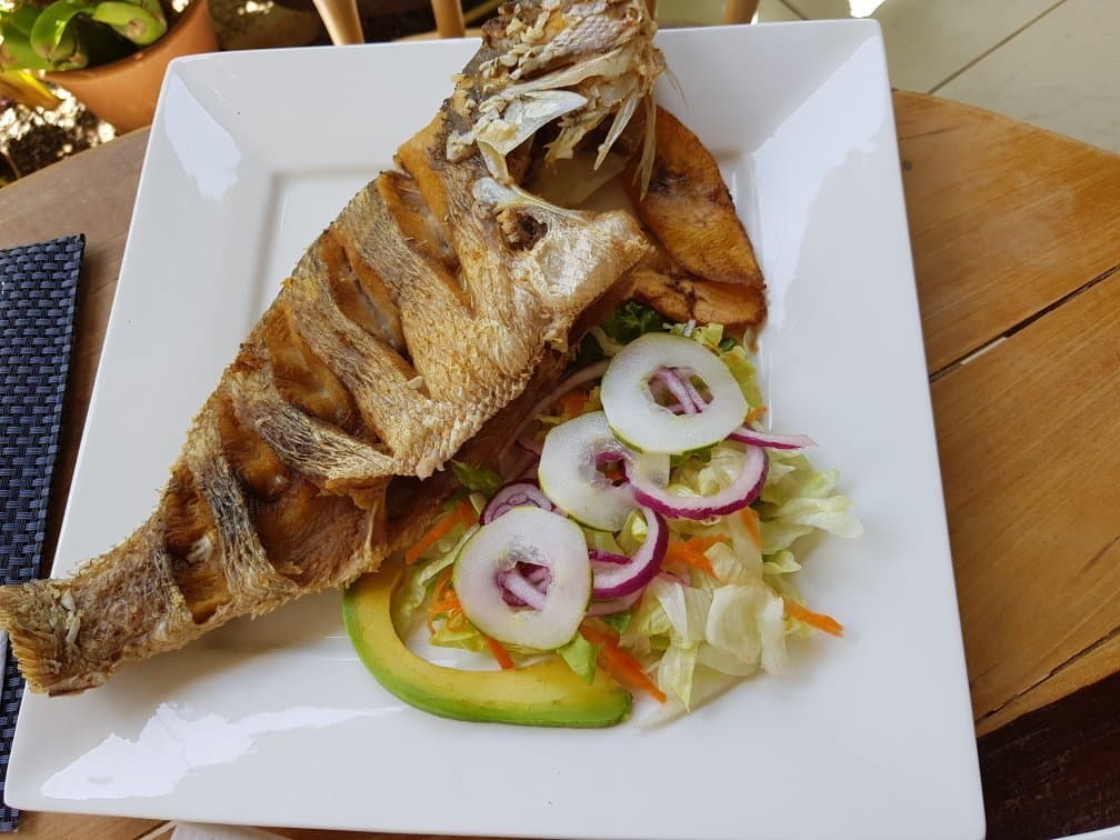 Snapp It Restaurant