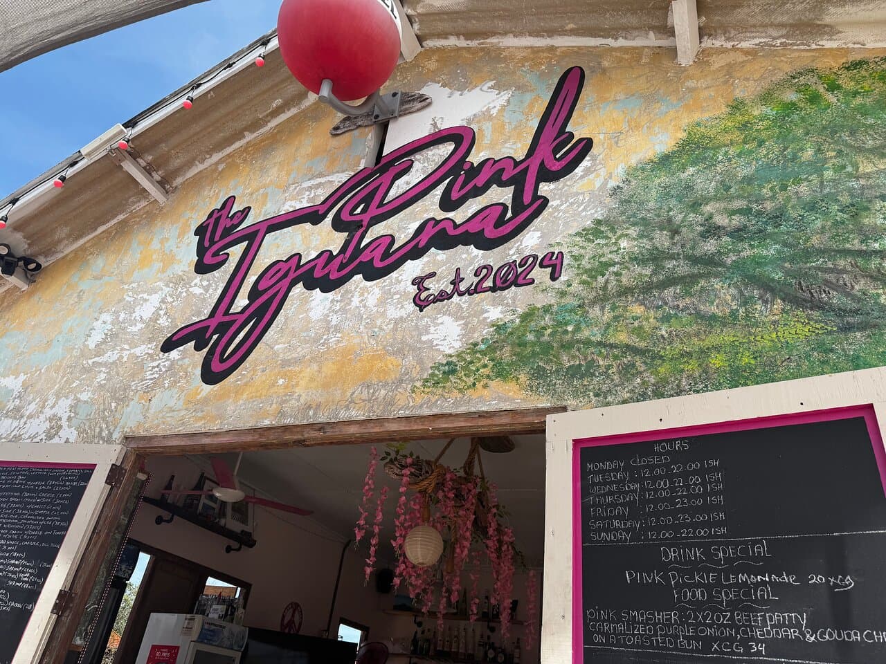 The Pink Iguana