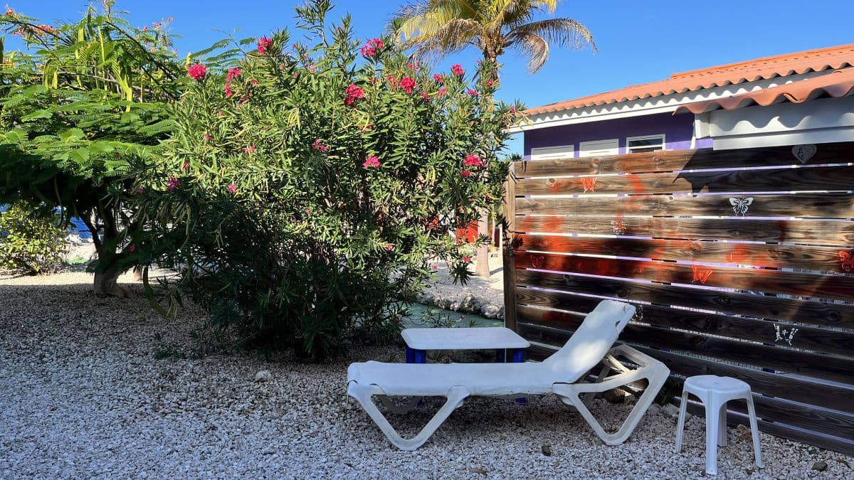 Huurwoning Santa Catharina Resort photo 7