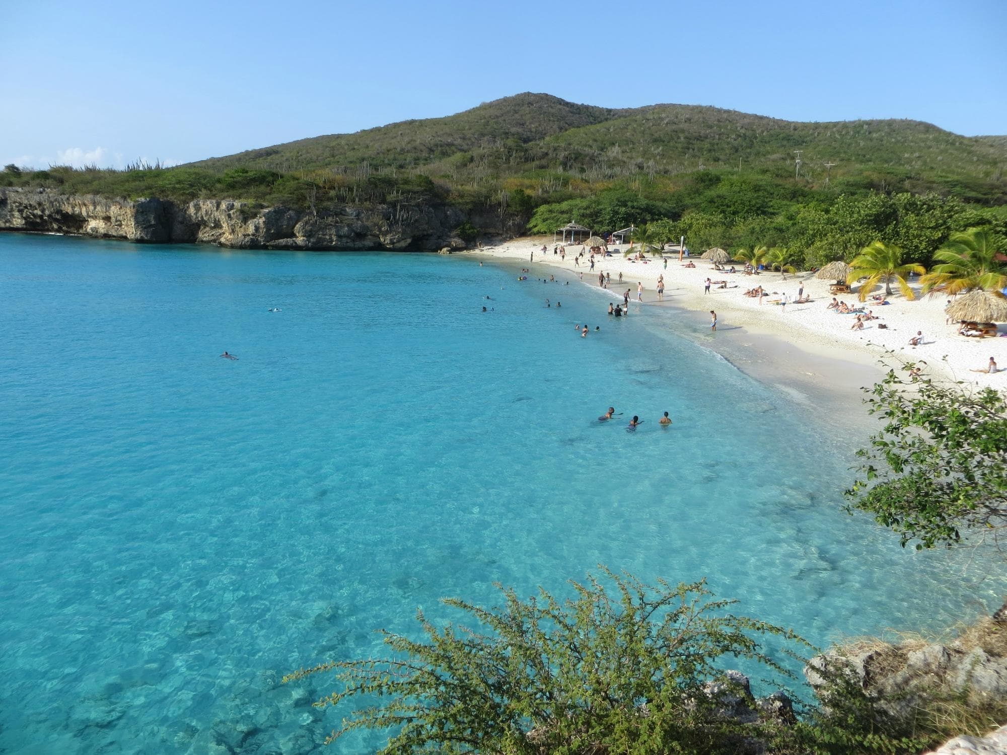 Grote Knip